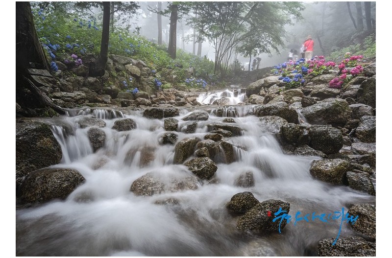 계곡 여름이야기