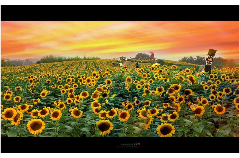 지루한 장마철...마음속 그림을 그려봅니다.