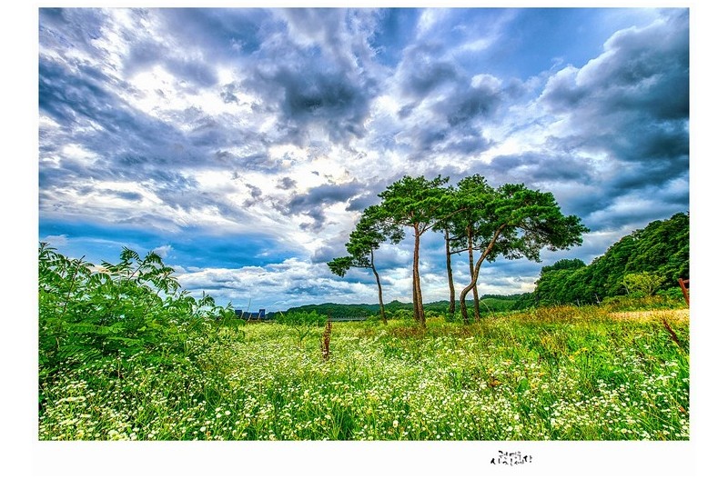 비구름은 노도와 같이...