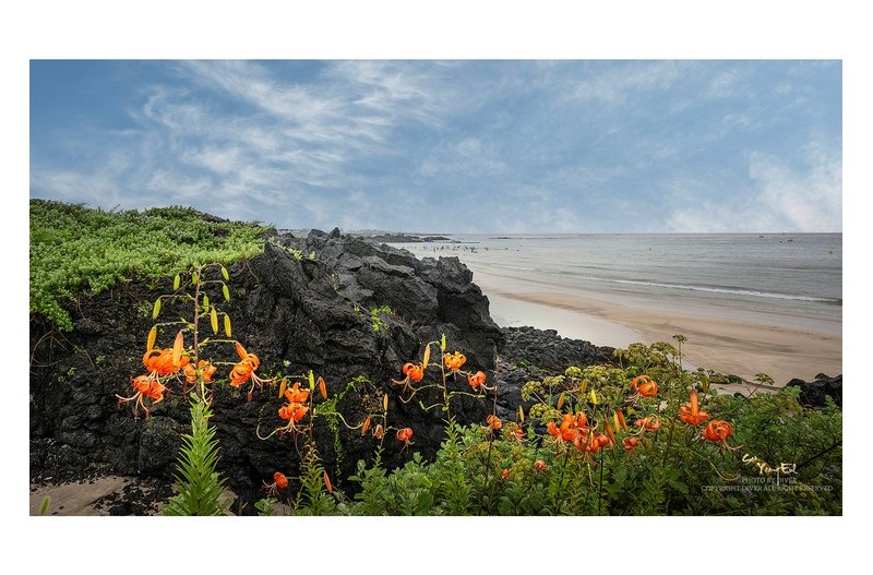 함덕 해수욕장 #2