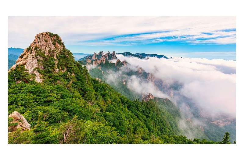 좋은날에 다시 가려구요