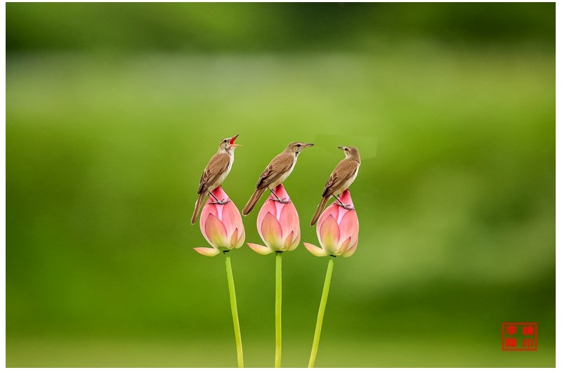 바람에 흔들려도