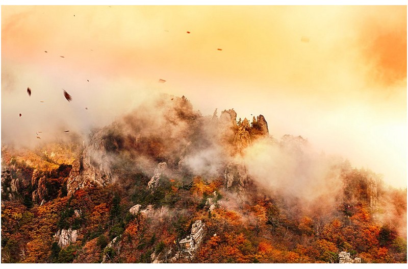 추풍낙엽의 공룡