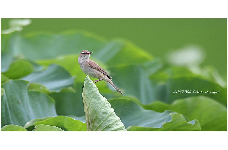 나에 사랑아  ㅡㅡㅡㅡㅡㅡㅡㅡㅡㅡㅡㅡ