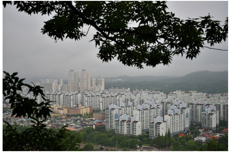 망진산에서 바라본 풍경