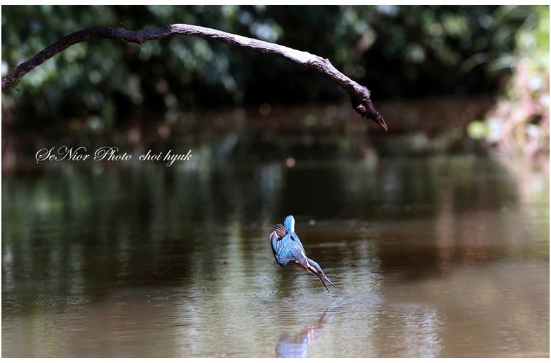 Sorry    ㅡㅡㅡㅡㅡㅡㅡㅡㅡㅡㅡ