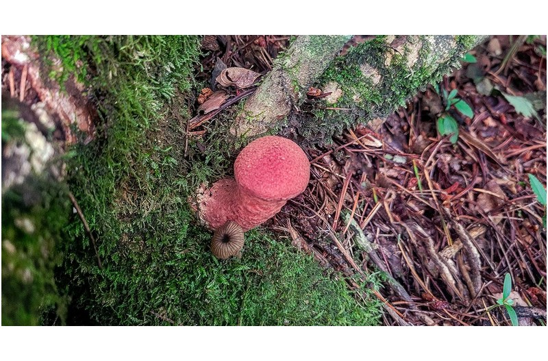 그놈 야릇하게 잘 생겼네.