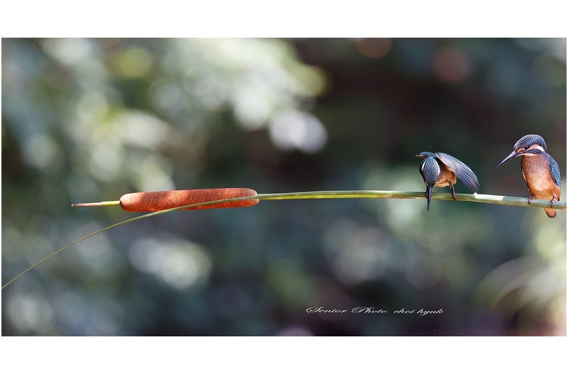 언 넘을  ㅡㅡㅡㅡㅡㅡㅡㅡㅡㅡㅡㅡㅡㅡㅡ