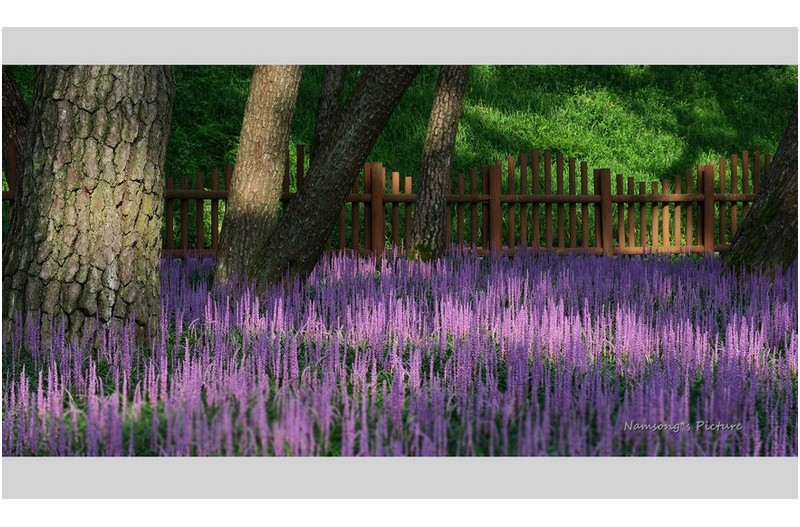 맥문동 꽃밭의 소경