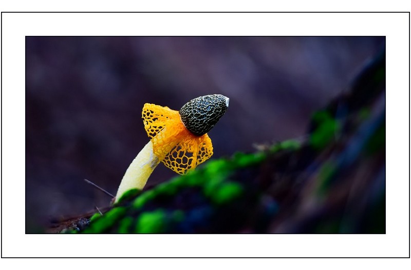 치마내리는중...