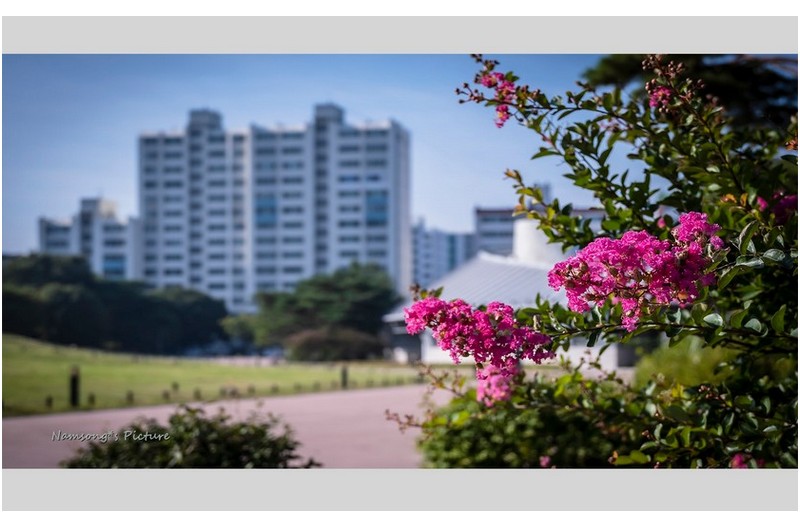 이렇게 무더워도 ----