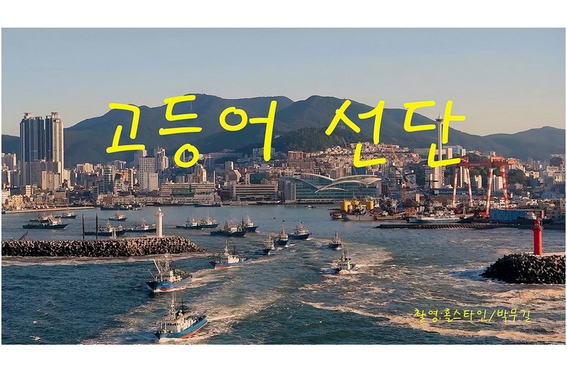 고등어 선단 출항