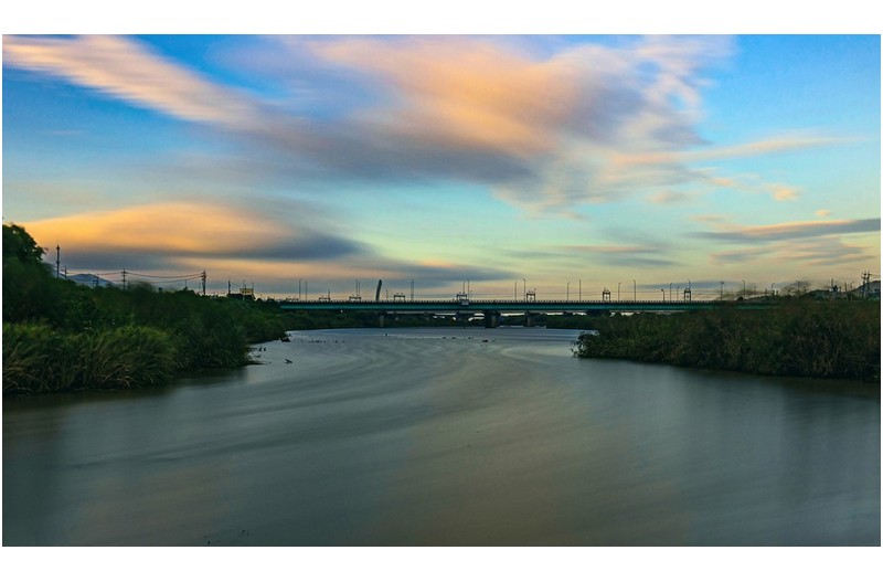 카눈이 그린그림