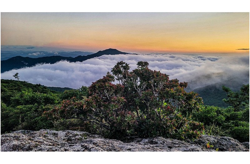 가을이 옵니다.