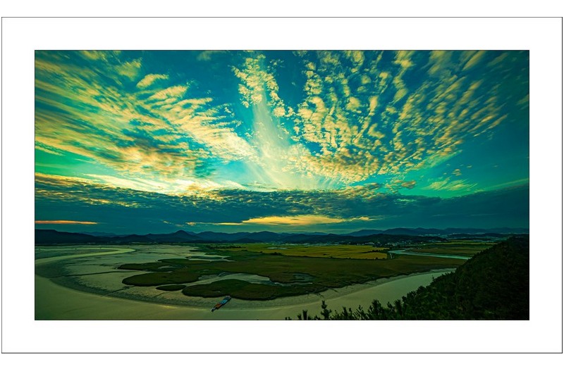 순천만의 오후..