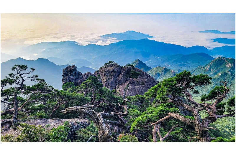 때를 기다리며~