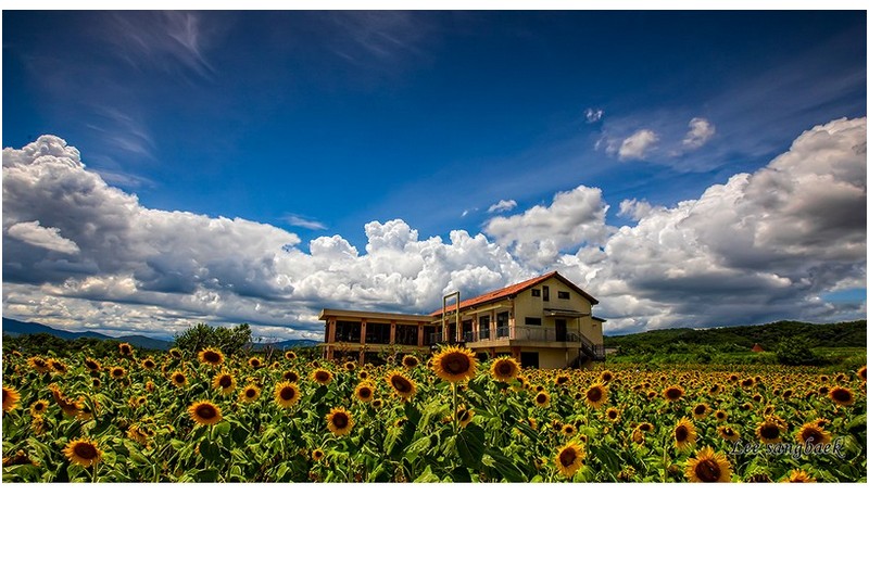 구름좋은 날 로드100