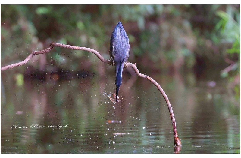 일타 두피  ㅡㅡㅡㅡㅡㅡㅡㅡㅡㅡ