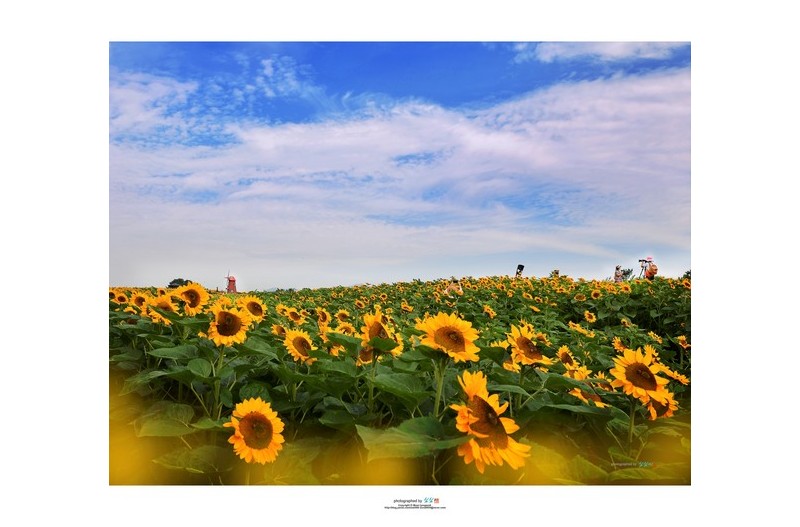 아름다운 추억...