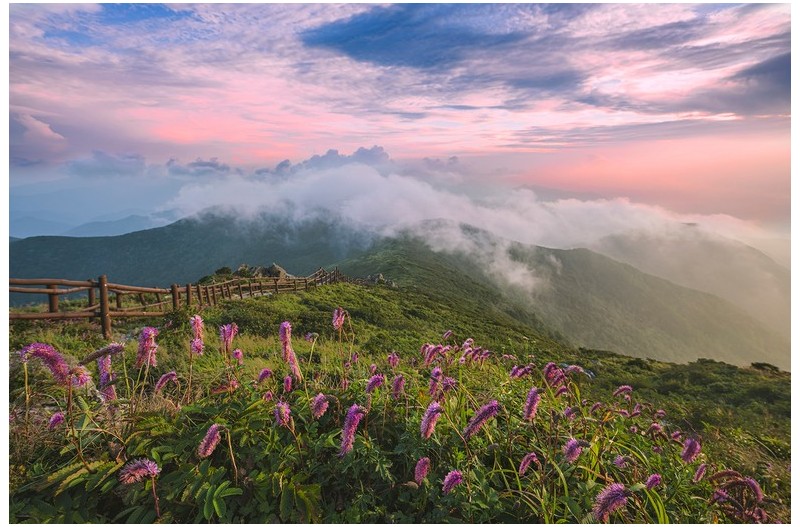 바람이 전하는 말