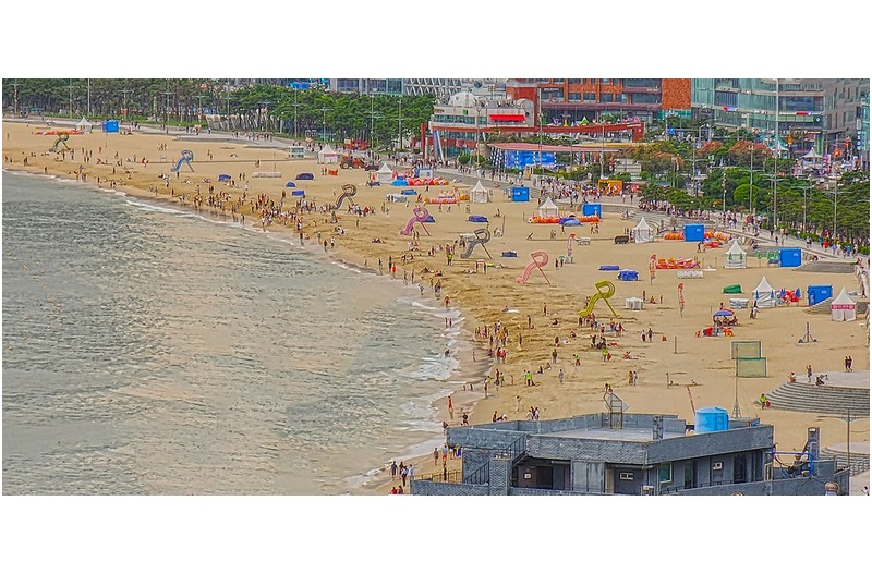 뜨거웠던 여름은?