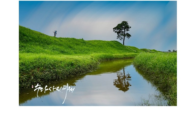 토성의 여름이야기