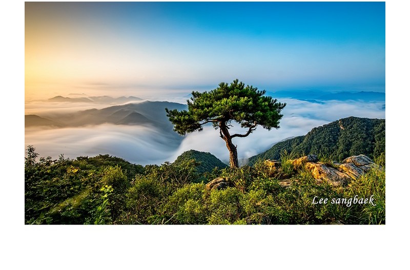 힘찬 운해 폭포