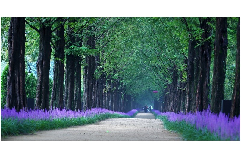 나도 다녀 왔어요.