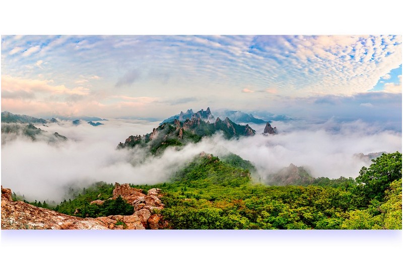 마음이 머무는 곳