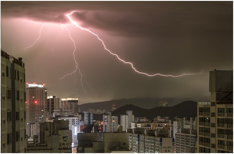 새벽 잠을 깨우는 소리