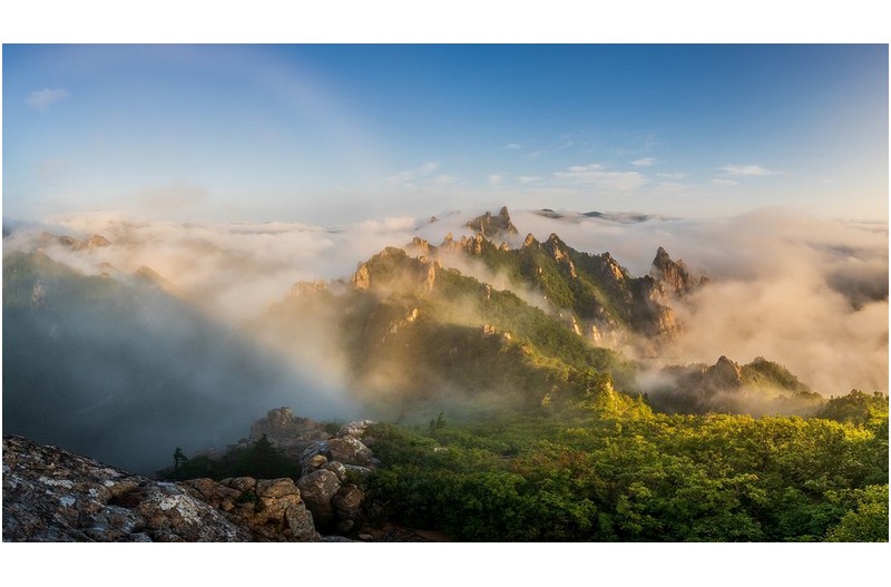 공룡능선의 여름나기