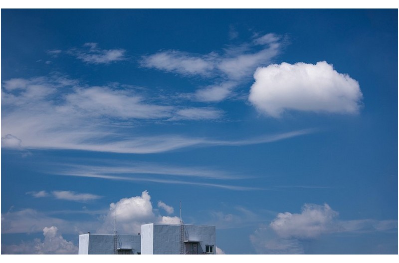 가을인가 봅니다