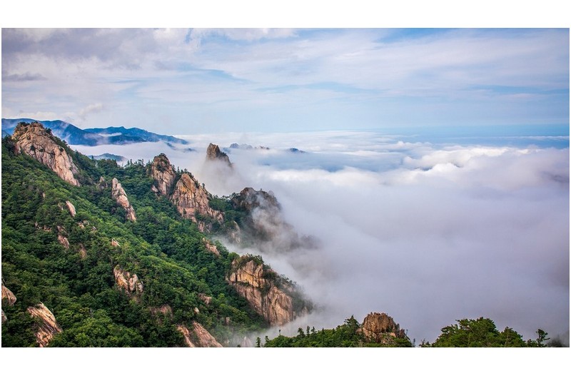 설악의 여름나기
