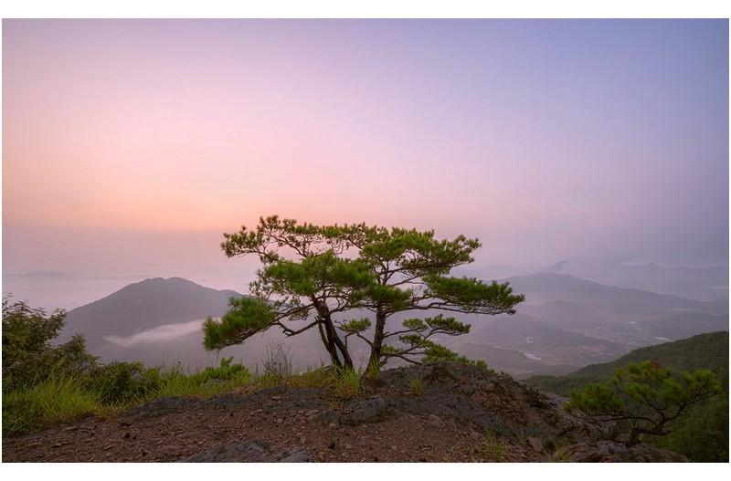 처서도 지났는데