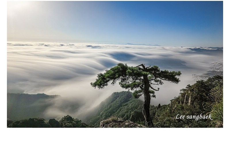 물결처렴 흐르는 운해