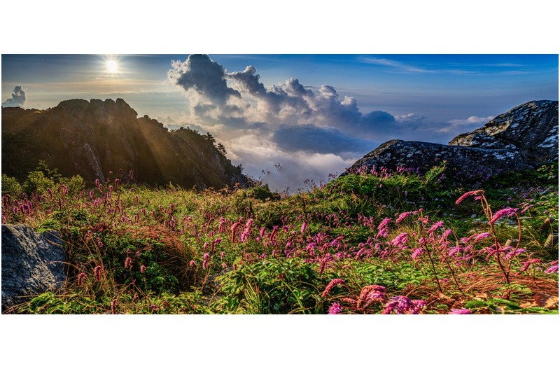 생존신고 하면서,,,