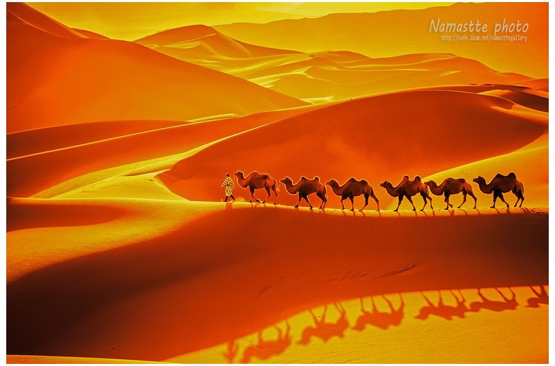 바단지린의 추억