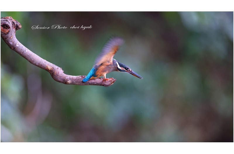 구영 강가에서  ㅡㅡㅡㅡㅡㅡㅡㅡㅡㅡㅡㅡㅡㅡㅡㅡㅡ