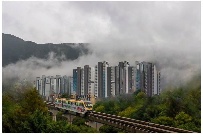 안개 속으로 ...