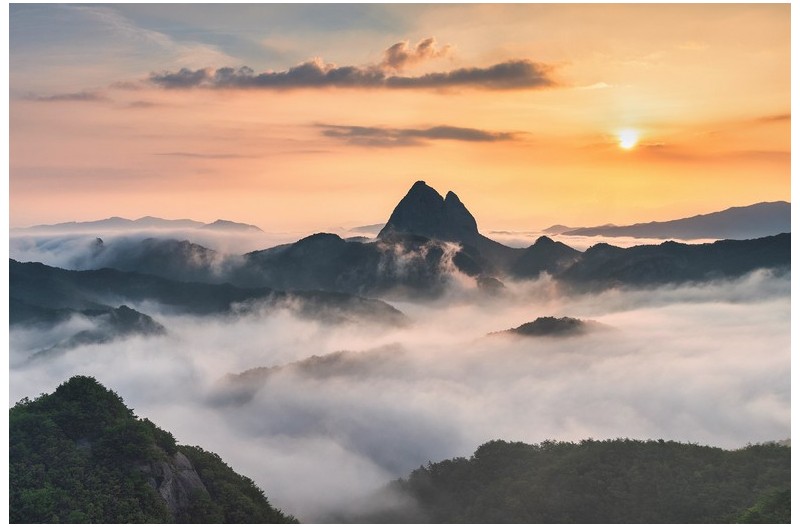 덩실덩실 춤을추자