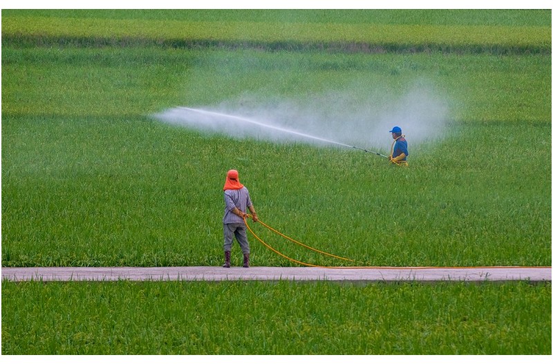 올해도 풍년입니다