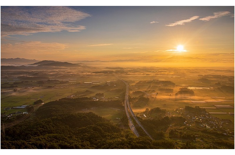 풍요로운 남도들녁