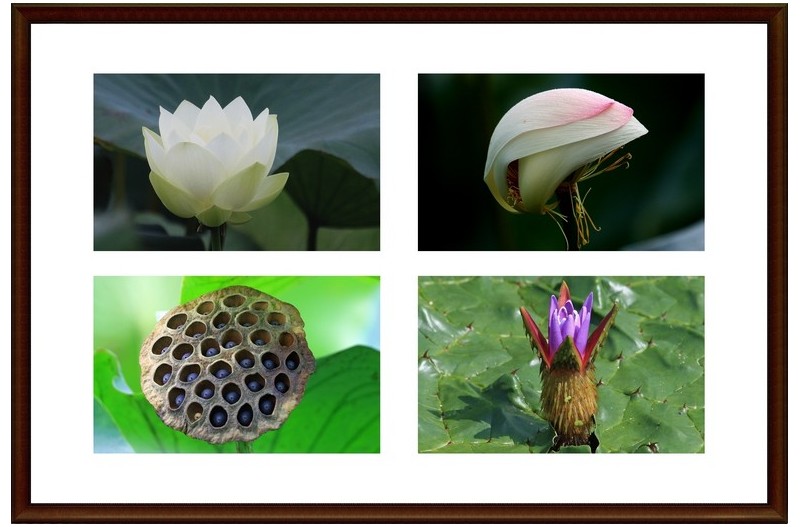 시간이 바뀐 연