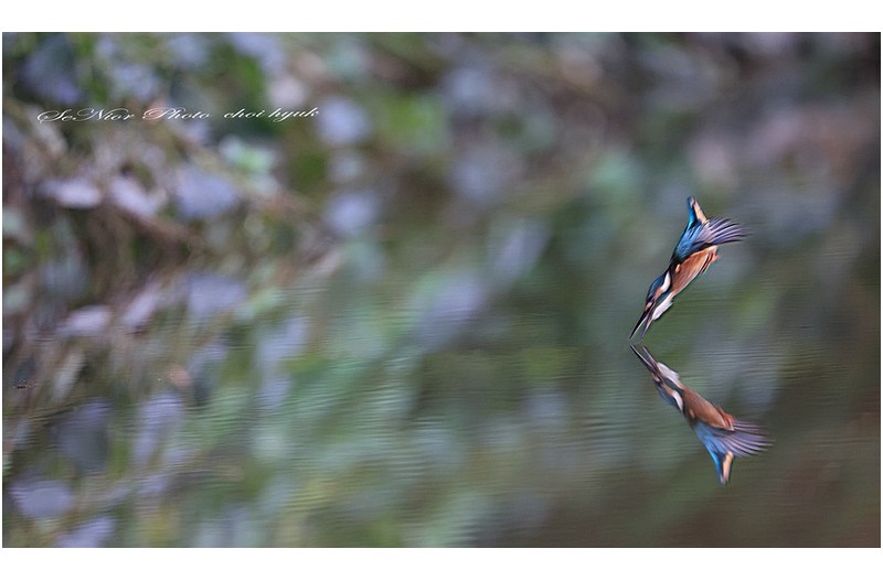 7 일 총이  ㅡㅡㅡㅡㅡㅡㅡㅡㅡㅡㅡㅡㅡㅡㅡㅡㅡㅡㅡ