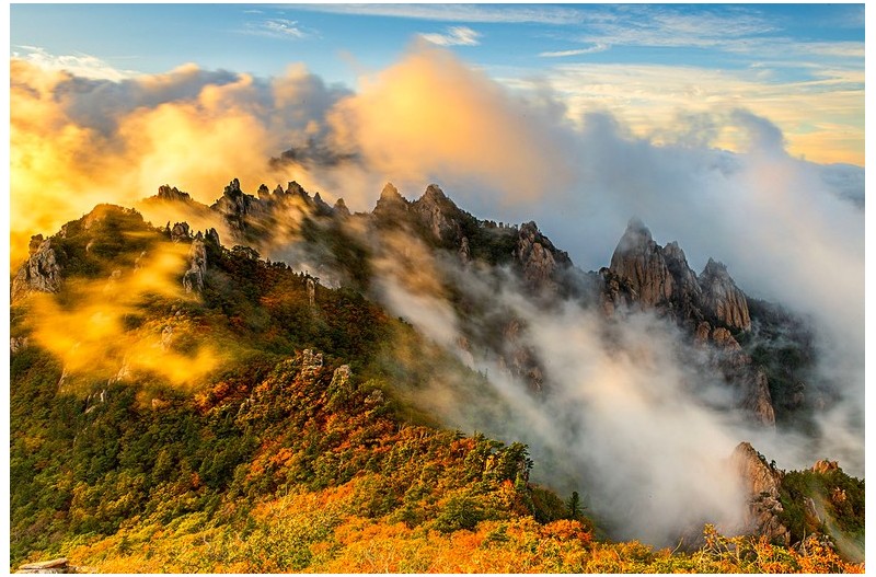 가을이 기다려지는 이유