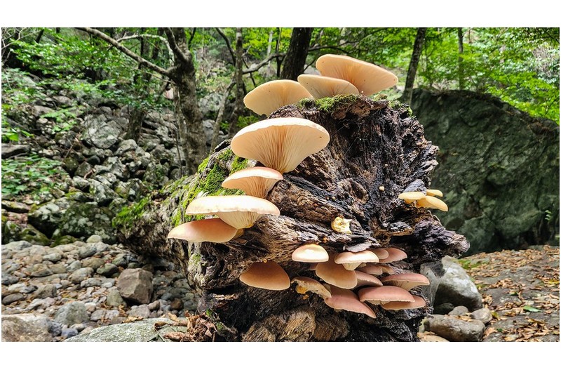 신이내린 최고의 선물