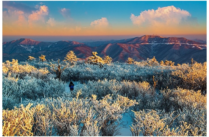 태백산(창고정리하다가)