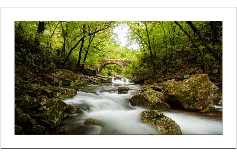 승선교의계류,,