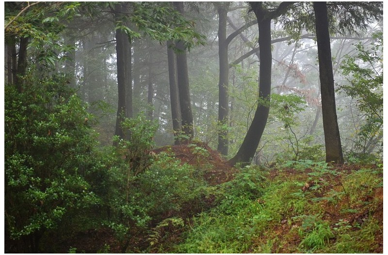 아침산책 망진산