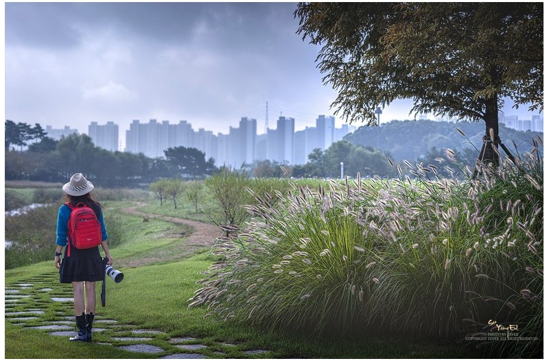 아름다운 아침에